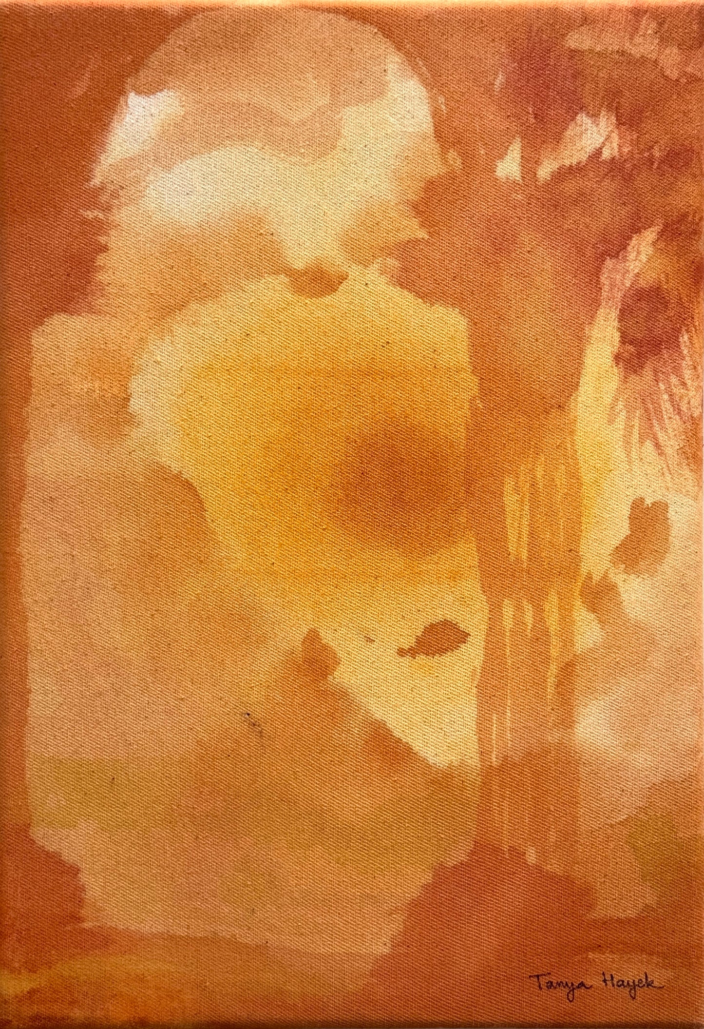 Maison dans la brume 4/4