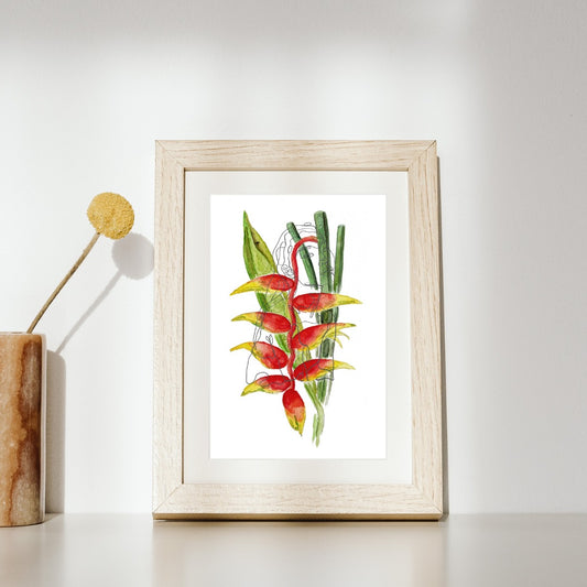 palm illustration, palm watercolor, floral watercolor, botanic watercolor, tropical watercolor, flower watercolor, sunflower watercolor, bird of paraside watercolor, heliconia watercolor